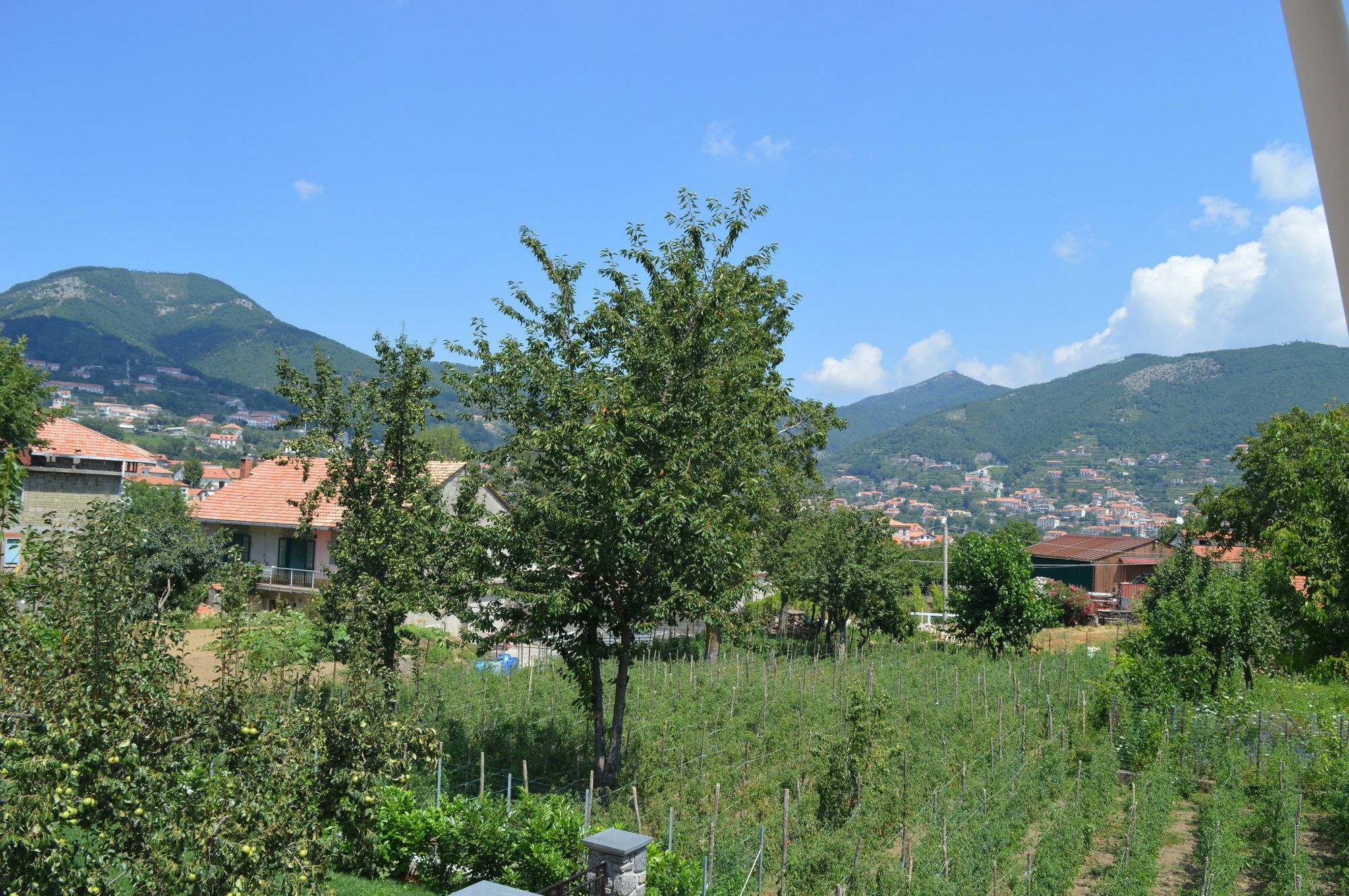 La Casa Dei Fiori - Ospitalita Diffusa أَجيرولا المظهر الخارجي الصورة